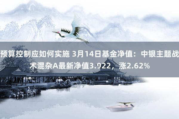 预算控制应如何实施 3月14日基金净值：中银主题战术混杂A最新净值3.922，涨2.62%