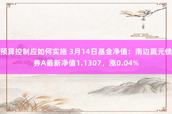 预算控制应如何实施 3月14日基金净值：南边赢元债券A最新净值1.1307，涨0.04%