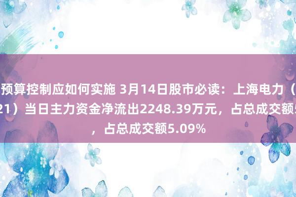 预算控制应如何实施 3月14日股市必读：上海电力（600021）当日主力资金净流出2248.39万元，占总成交额5.09%